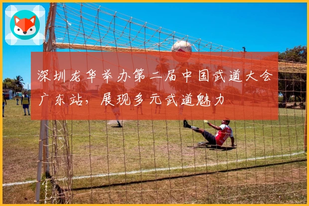 深圳龙华举办第二届中国武道大会广东站，展现多元武道魅力