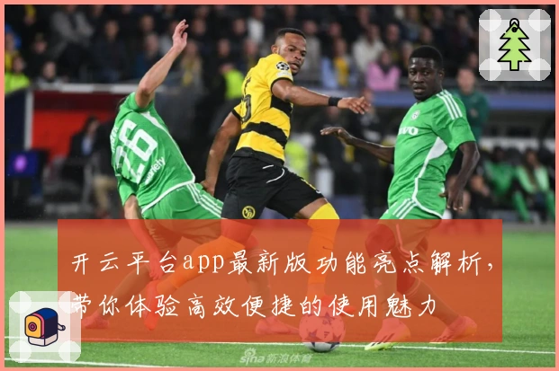 开云平台app最新版功能亮点解析，带你体验高效便捷的使用魅力