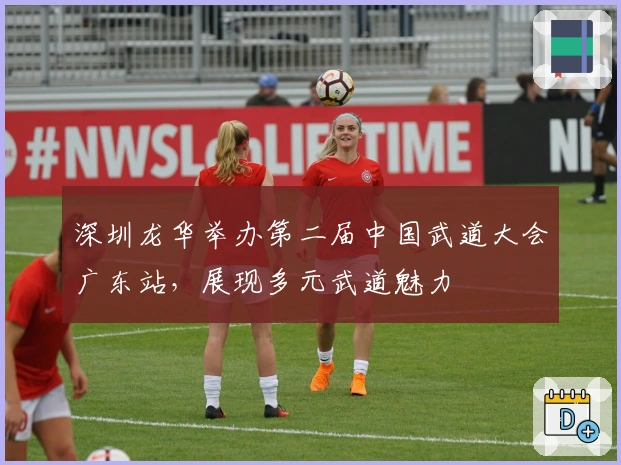 深圳龙华举办第二届中国武道大会广东站，展现多元武道魅力